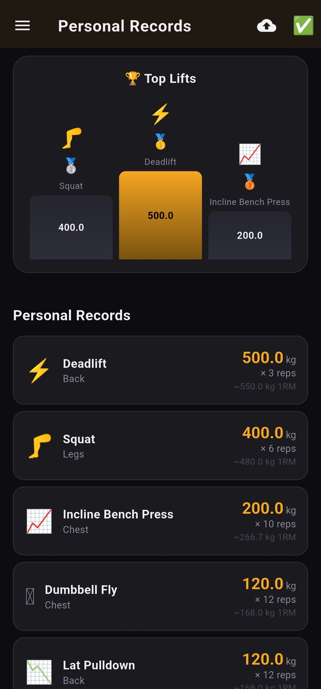 IRONLOG screenshot 4